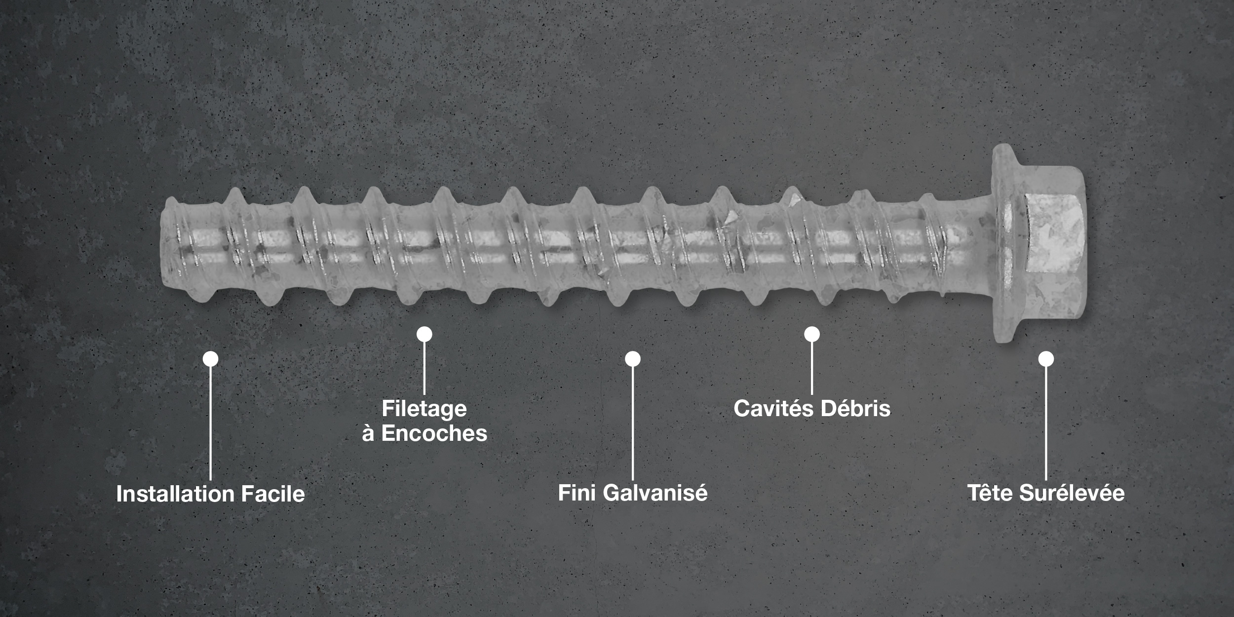 CobraTork Galvanisé – Image 2